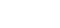 Logo Light